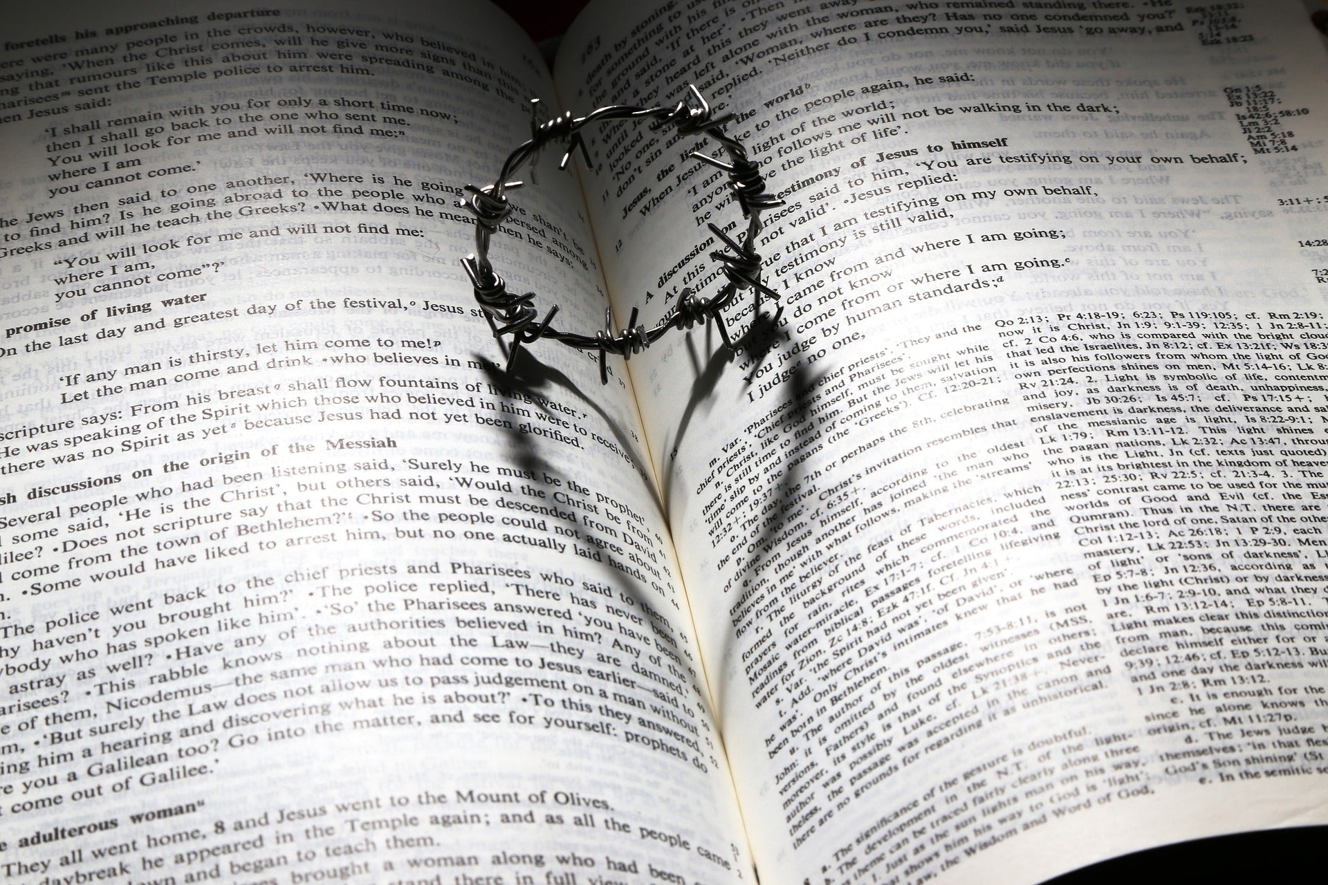 Ɛtaa ba wɔ Bible mu sɛ wobehu ngo a wɔsra no sɛ adeyɛ a ɛho hia, titiriw wɔ Apam Dedaw no mu. Dwom 23, Kyerɛwnsɛm no ti ahorow a wɔafa aka kɛse no mu biako no ka asɛm a ɛne “Wode ngo sraa me ti.”