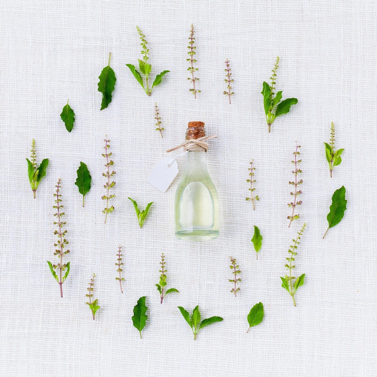 The Oil of Gladness: How God Anoints Us with Joy and Purpose