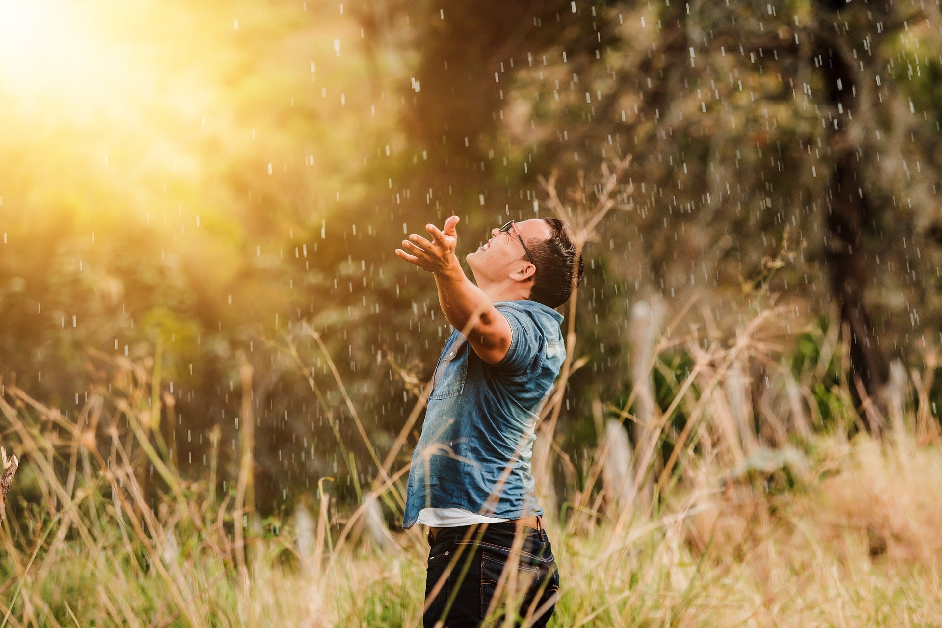 "Invite Spiritual Renewal and Abundance into Your Life with Mount of Olives Latter Rain Anointing Oil: Consecrated with Nourishing Olive Oil and Biblical Botanicals"