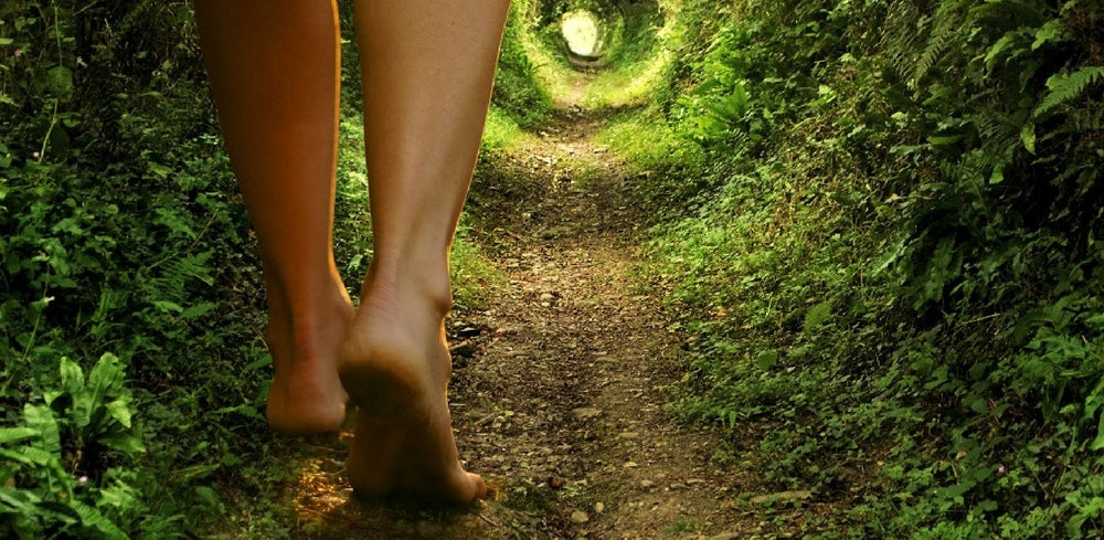 Barefoot  on Holy Ground