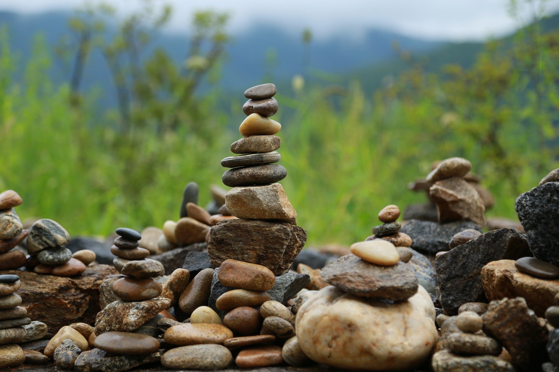 Anointing Oil: A Look into the Origins of Frankincense and Myrrh